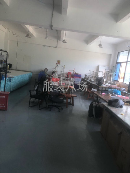 向前看望厚赚-第1张图片