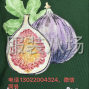 广州 - 白云区 - 棠景 - 本厂承接服装裁片印花