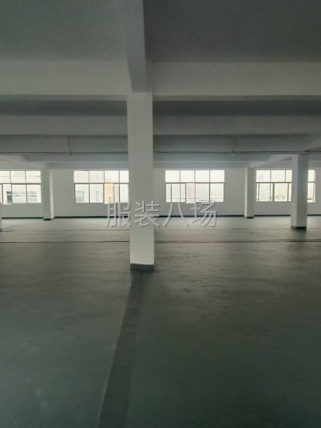 大石礼村700方，一手业主-第4张图片
