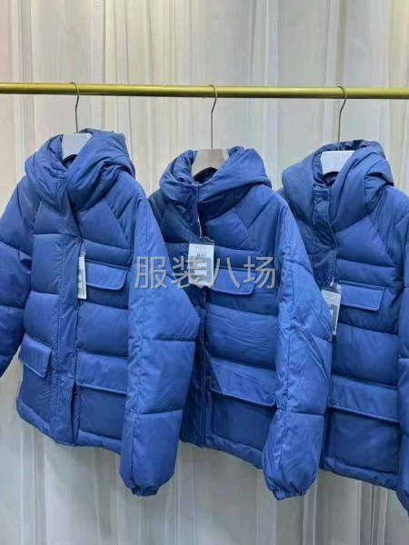 女装短款棉袄女潮ins冬季2024新款羽绒棉棉服-第8张图片