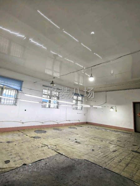 仓库厂房出租-第2张图片