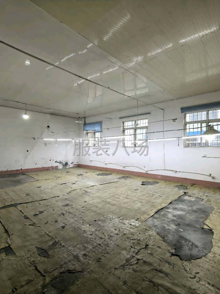 仓库厂房出租-第1张图片