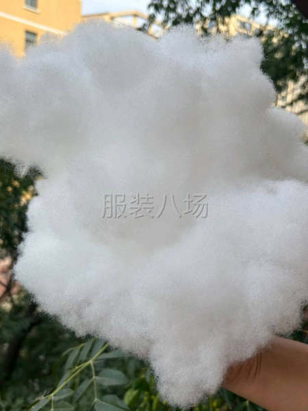 北京周邊求購(gòu)PP棉 毛絨玩具填充棉-第2張圖片