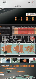 undefined - LCP真皮裁剪流水线 - 图1