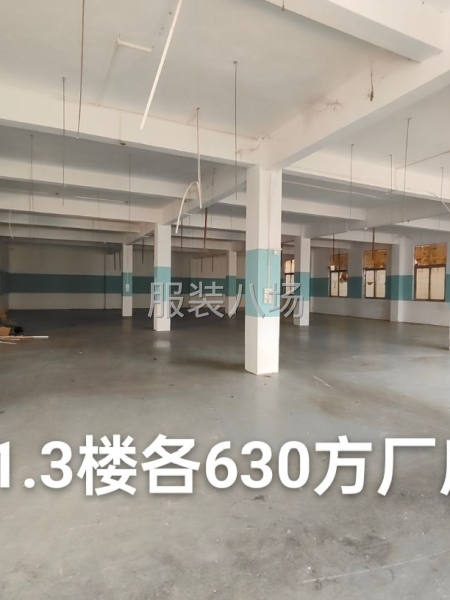 南村650方廠房出租-第1張圖片