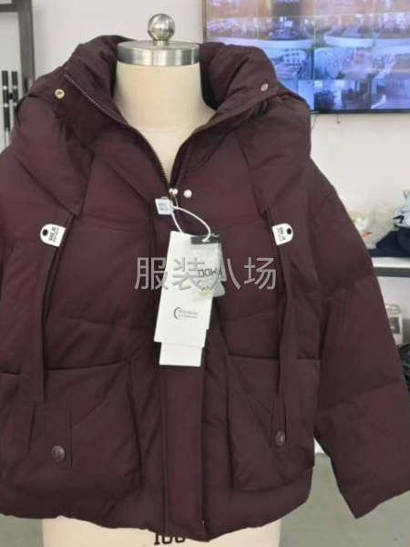 羽絨服清倉清理-第4張圖片