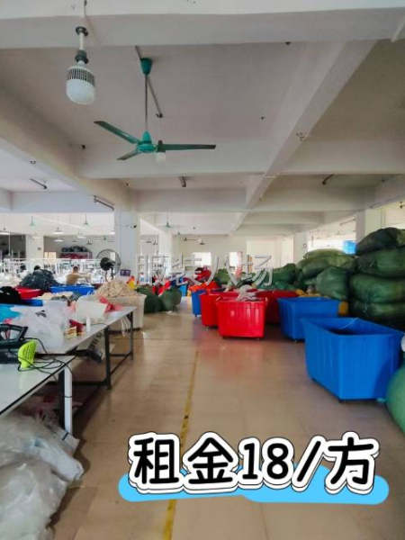 大石植村1100方，實(shí)用面積，即將搬空-第1張圖片