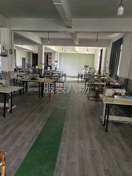 裤子衣服加工成品专业加工-第1张图片
