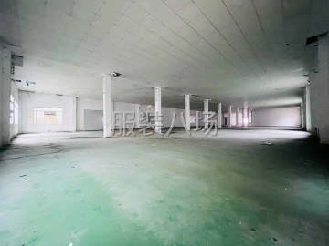 undefined - 南村独门独院旺地招租 - 图2