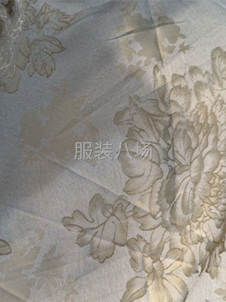 專業(yè)供應(yīng)服務(wù)廠-第1張圖片