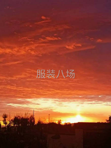 招后道沟通能力，执行能力强-第1张图片