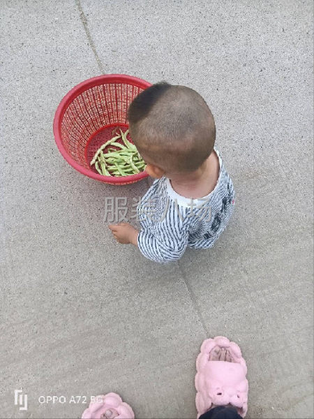 夫妻在辛莊接活，褲子，馬甲，開袋，上衣-第2張圖片