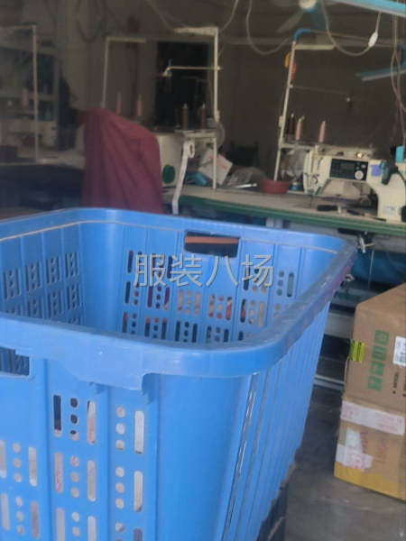 专业女装上衣针织，雪纺，-第1张图片