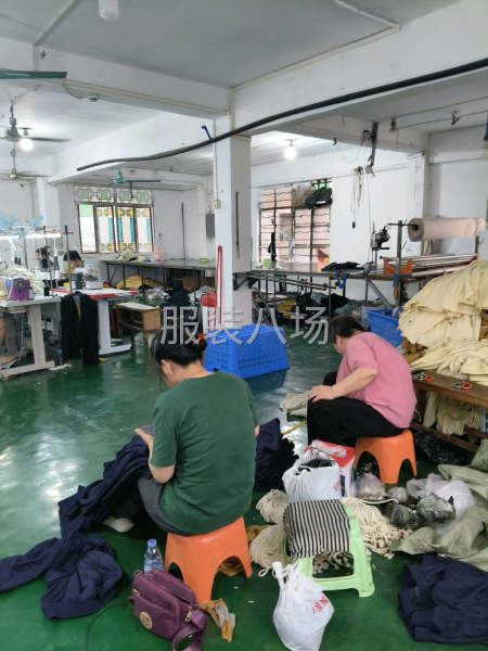 本廠專業(yè)女裝褲子，質(zhì)量保證。出貨快-第1張圖片