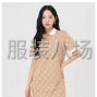 中山 - 西区街道 - 长洲社区 - 女款翻领连衣裙