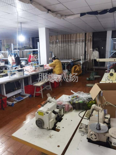 承接各种小单一条服务-第2张图片