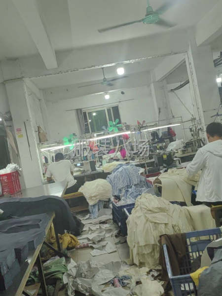 本廠專業(yè)褲子接網(wǎng)單，檔口貨，直播單，外單-第1張圖片