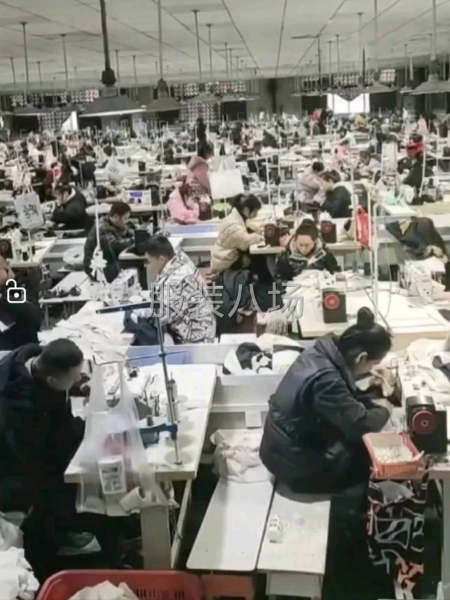 100-500人加工廠承接訂單-第4張圖片