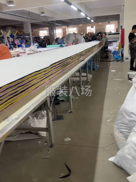 超低价，不讲信用的不要联系-第1张图片