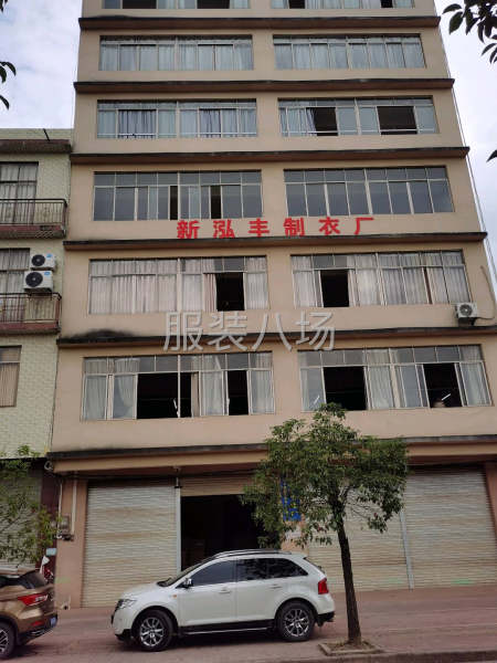 简单款圆领T恤，Polo衫，每间厂每月最低交货量3万件起。、-第9张图片