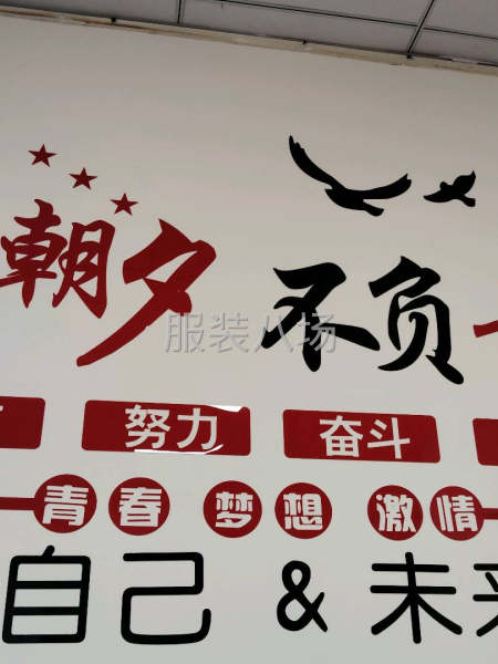跨境电商服装类目运营-第1张图片