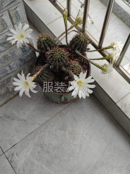 求职全职大烫,经验13年-第3张图片