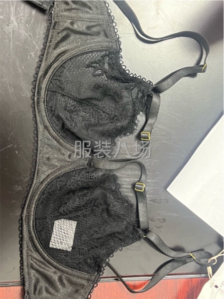 本厂承接内衣裤，泳衣，运动围，束身衣加工，保质保量-第3张图片