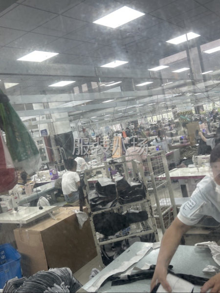 工资稳定，货源稳定-第1张图片