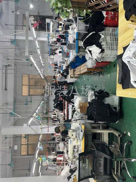 主打針織、衛衣走中高檔-第1張圖片