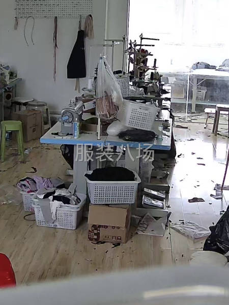 整件缝纫工月薪7000-8000-第1张图片