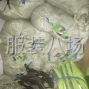 嘉兴 - 秀洲区 - 新塍 - 羽绒服衣壳
