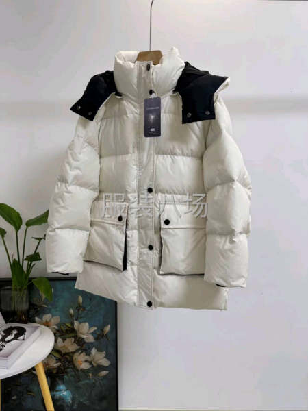 专业出口欧美羽绒服厂家选款合作-第5张图片