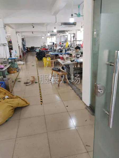 诚寻梭织全品类客户十三行网单直播单-第1张图片