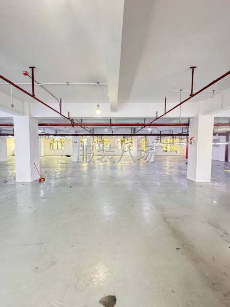 员岗地铁厂房，价格实惠-第3张图片