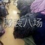 玉林 - 玉州 - 城西 - 衬衫加工厂