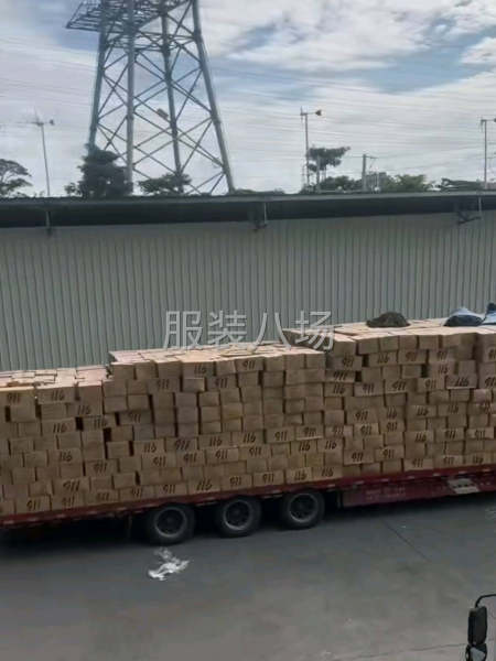 求购全棉净版T 几十万件 一百万件-第2张图片