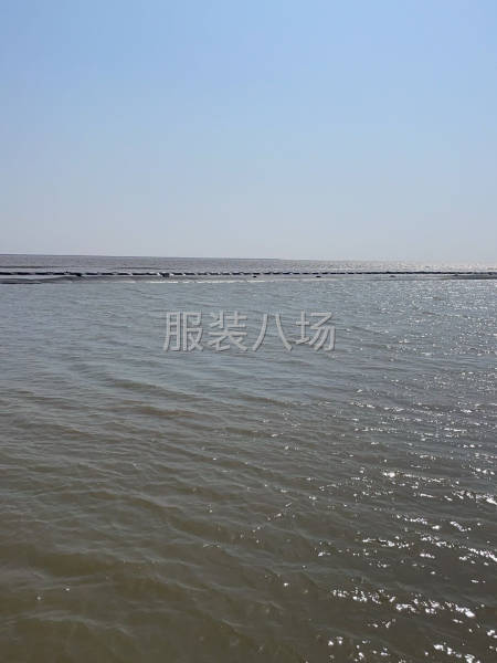 计时为主.有需要的老板请联系合作共赢-第1张图片