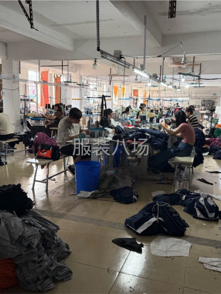 本工厂承接各种针织订单清加工-第1张图片