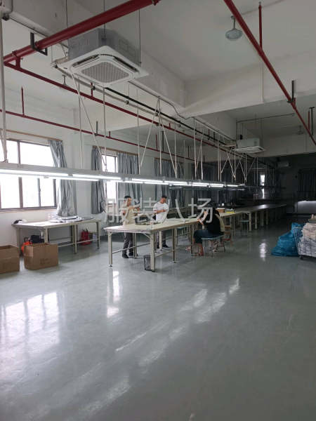 女性检验，上班时间8：30-18：00，公司缴纳社保，年龄5-第1张图片