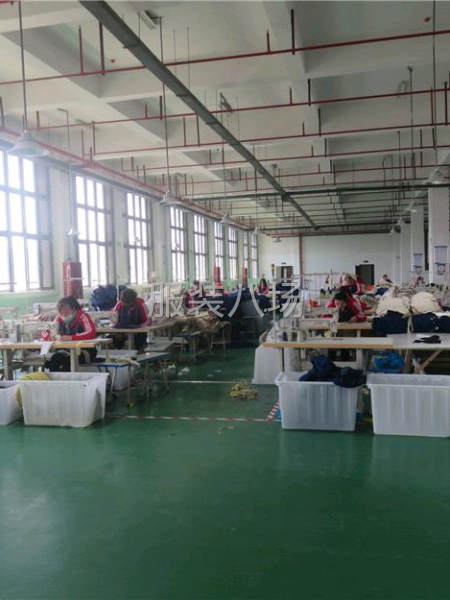 承接大小订单，外贸，市场，公司，网店，直播订单。-第1张图片