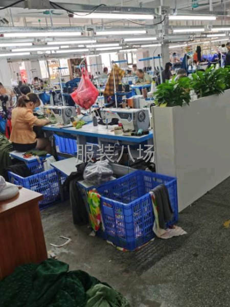 50-100人加工厂承接订单-第5张图片