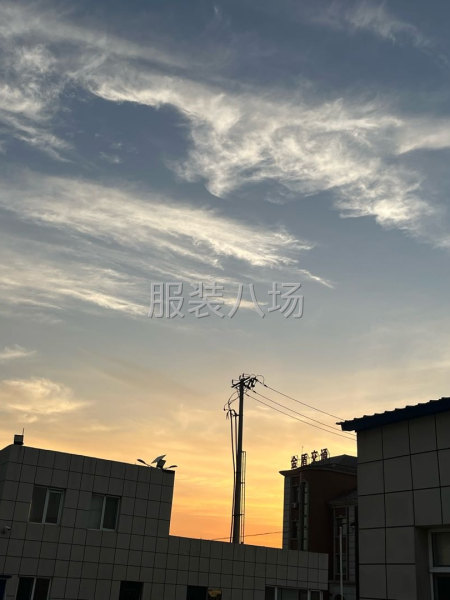 承接各種服裝加工-第1張圖片