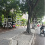 广州 - 海珠区 - 南洲 - 专业衬衣夫妻作坊寻裁片