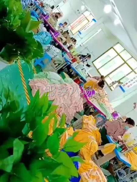 50 - 100人流水组，接市场货、半精品订单-第2张图片