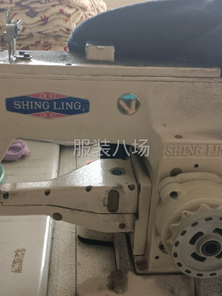 全部处理，不干了-第5张图片