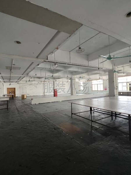 900方一楼跟900方二楼园区厂房原房东-第3张图片