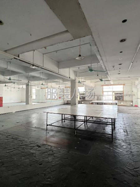900方一楼跟900方二楼园区厂房原房东-第5张图片