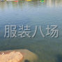 杭州 - 上城区 - 九堡 - 求职全职整件车位,经验20年