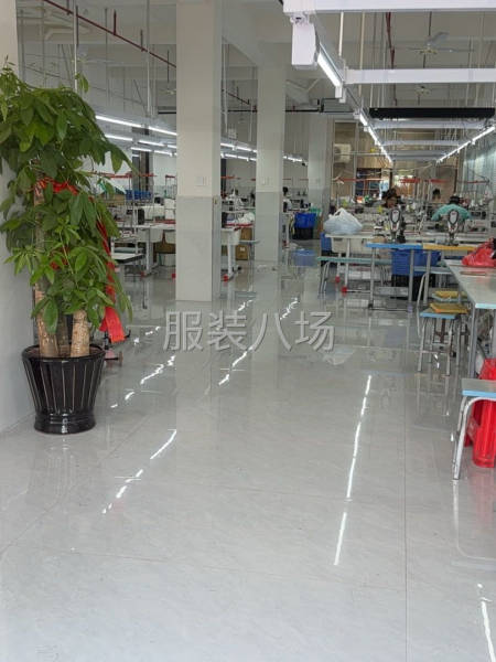 前后道齐全，纯加工，经销单都可-第1张图片