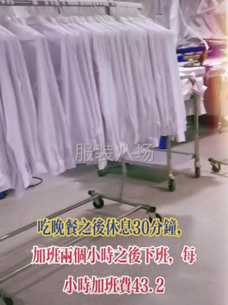 襯衣專業(yè)，其他服裝均可-第7張圖片